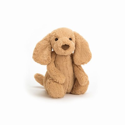 Jellycat Bashful Toffee Dog UK | 85134MEVS